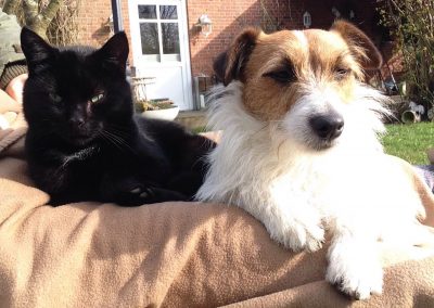 Haustiere im Urlaub erlaubt - Willkommen auf unseren Ferienhof auf Fehmarn