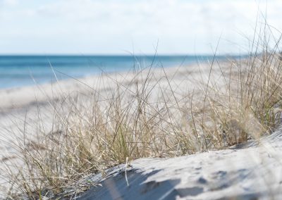 Strandgras und feiner Ostseesand - Fehmarn mit allen Sinnen genießen